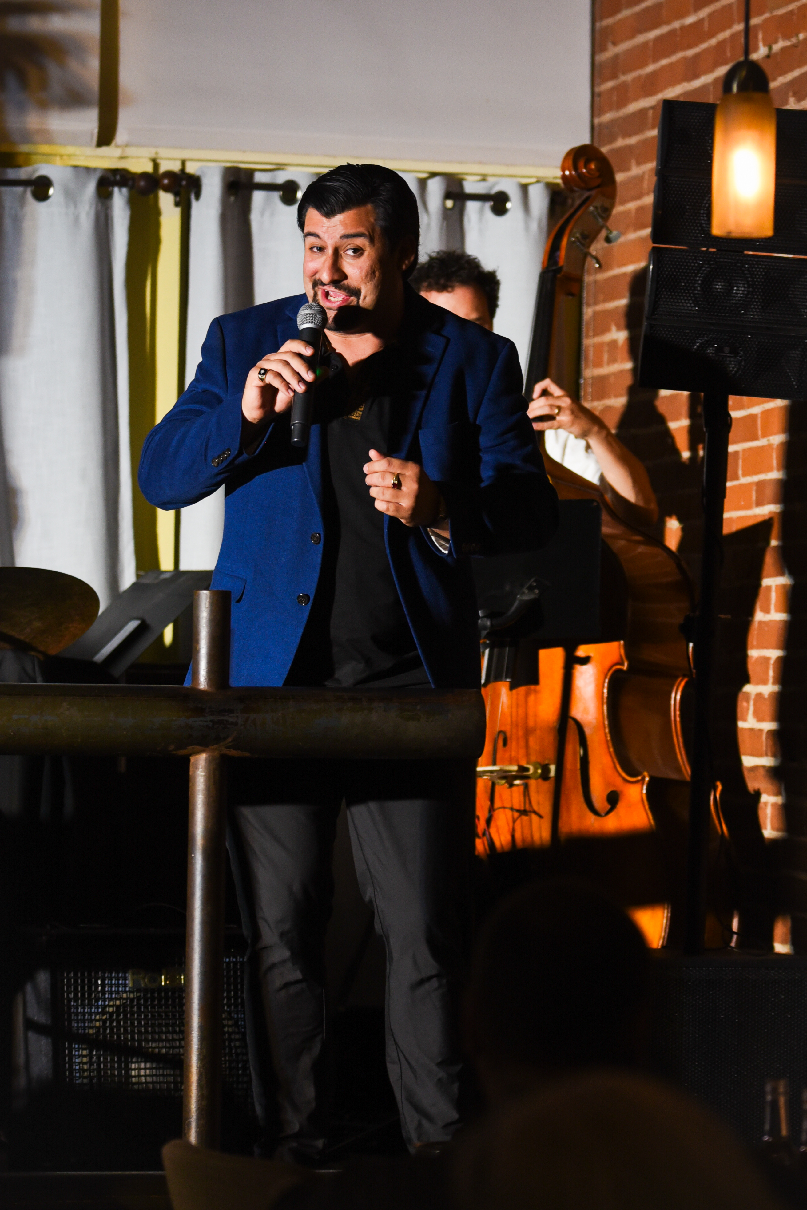 Performer on stage with warm lighting and upright bass